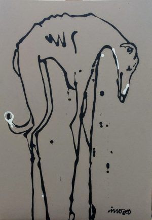 Galgo español. 2023. J. Mozos.