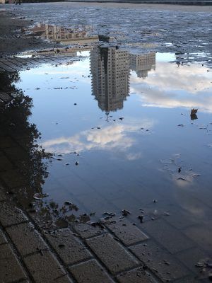 Reflejos