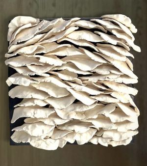 Colección Orgánica hojas 6