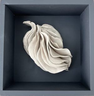 Semilla