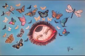 Metamorfosis