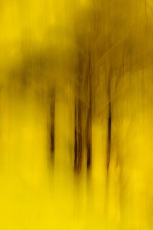 Adagio
