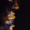 Time to fly II