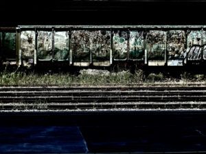 VAGONES-1