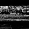 VAGONES-2