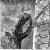 ARBOL REFLEJADO