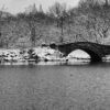 PUENTE CENTRAL PARK