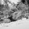 PUENTE CENTRAL PARK NEVADO