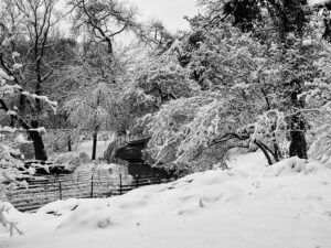 PUENTE CENTRAL PARK NEVADO