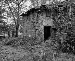 LA MAS PEQUEÑA CASA ABANDONADA