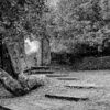JARDIN CON PUERTA
