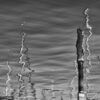 REFLEJO ROTADO
