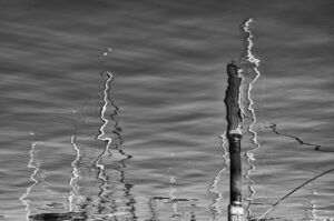 REFLEJO ROTADO