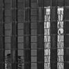 REFELJO ESTRUCTURA